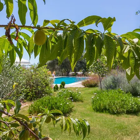 Miray Villa Islamlar (Mediterranean)
